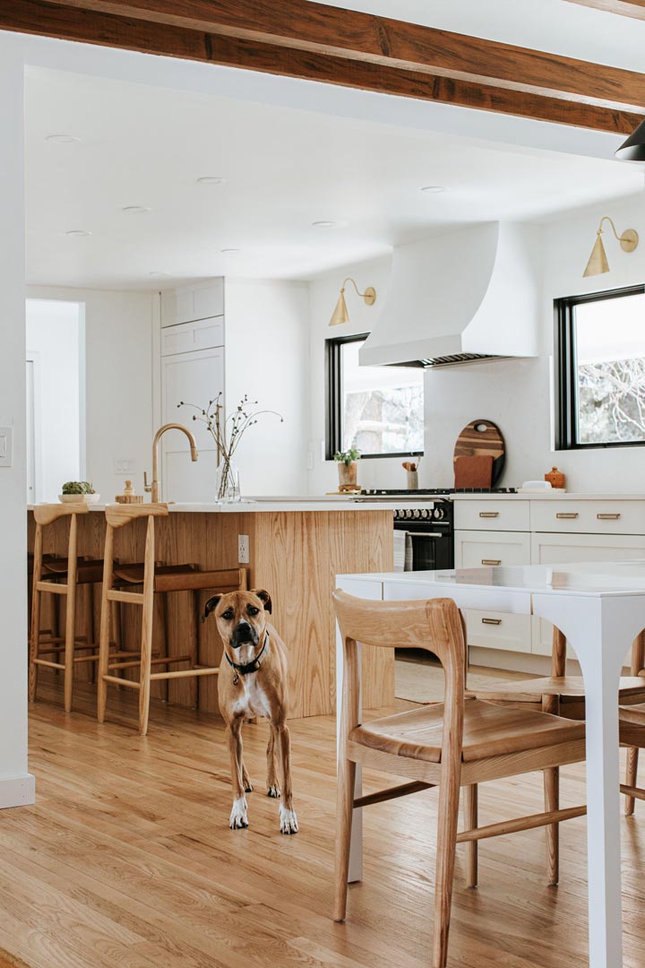 Modern White and Wood Kitchen with Brass and Black Accents and Cute Dog Interior Design by J. Reiko Design + Co. 