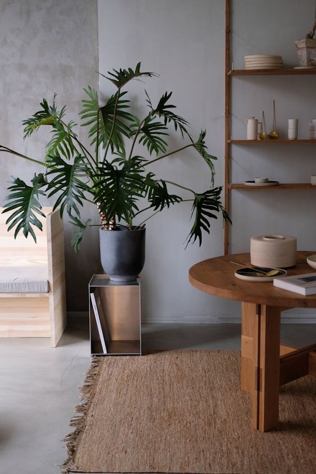 how to purify your home. clean air for your home by J. Reiko Design + Co.