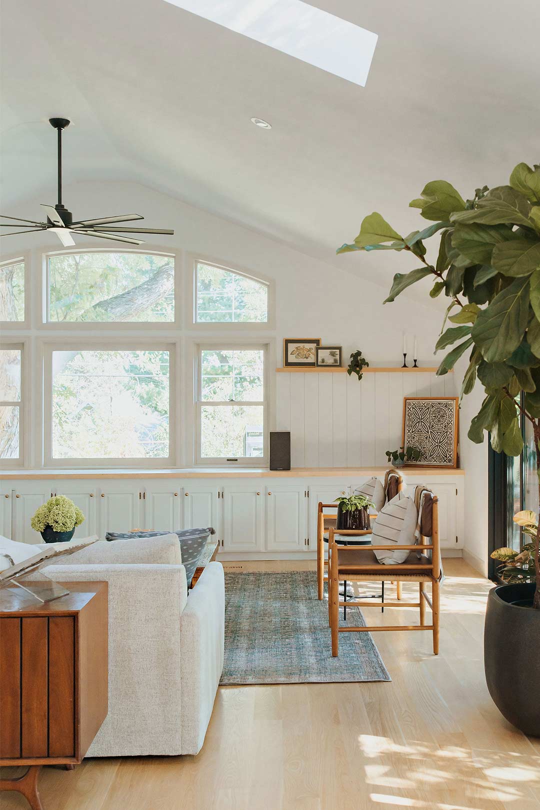 Bright Arched Windows frame a modern black ceiling fan at the top of this living room with a beautiful fiddle fig tree